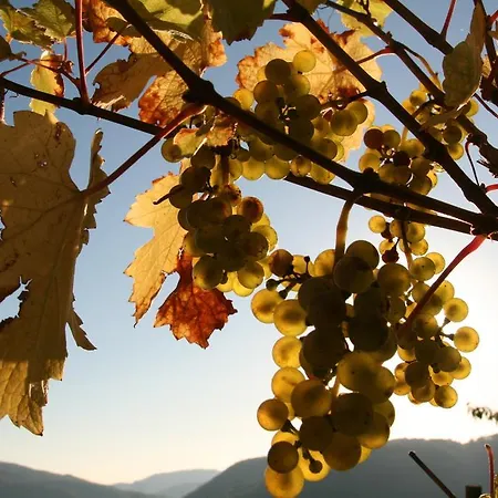 Familie Ernst Lägenhet Bruttig-Fankel