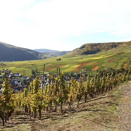 Familie Ernst Appartement Bruttig-Fankel