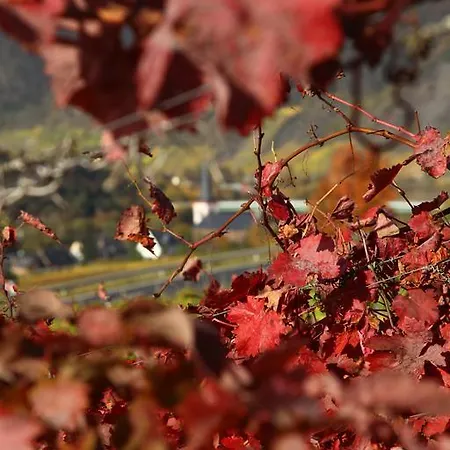 Familie Ernst Lägenhet *