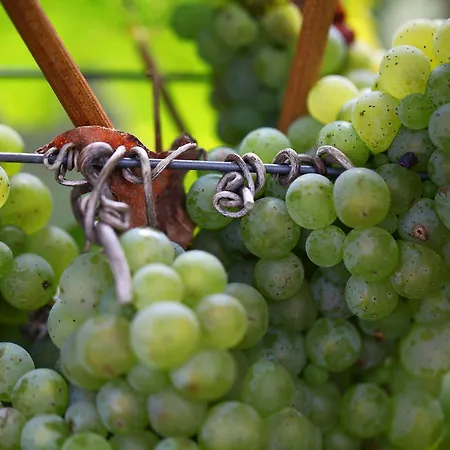 Familie Ernst Lägenhet