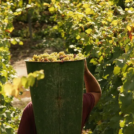 Lägenhet Familie Ernst Bruttig-Fankel
