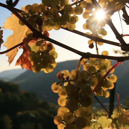 Familie Ernst Lägenhet Bruttig-Fankel