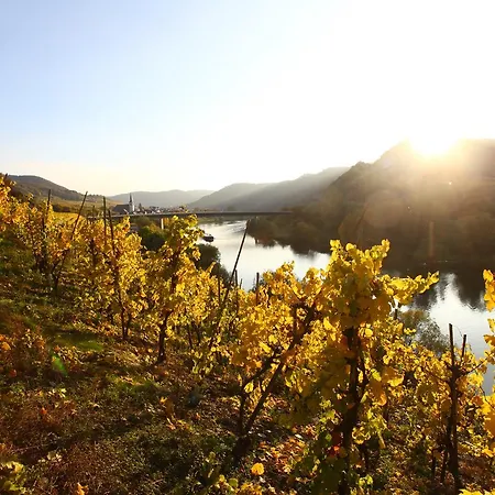 Familie Ernst * Bruttig-Fankel