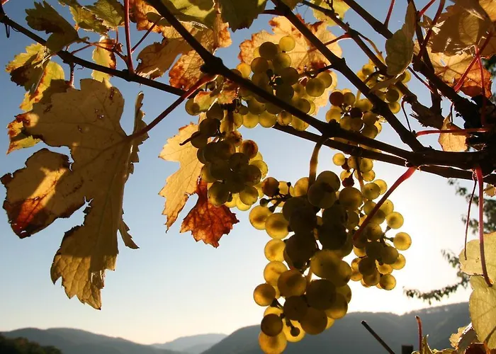 Familie Ernst 公寓 布鲁蒂凡科