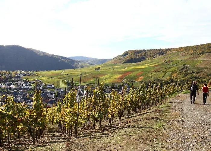 Familie Ernst 아파트 브루티크판켈