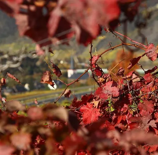 Familie Ernst 아파트 *