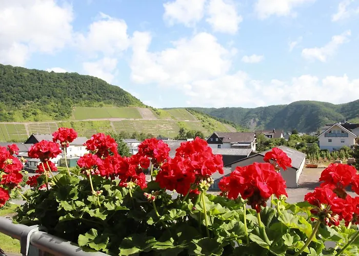 Familie Ernst 公寓 *