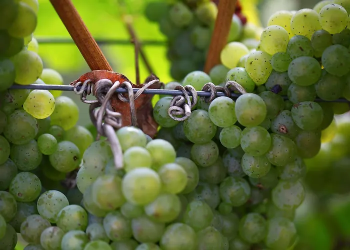 Familie Ernst 아파트