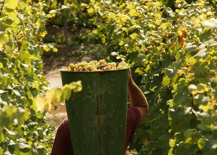 公寓 Familie Ernst 布鲁蒂凡科