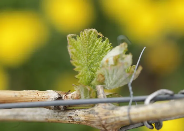Familie Ernst 아파트 브루티크판켈