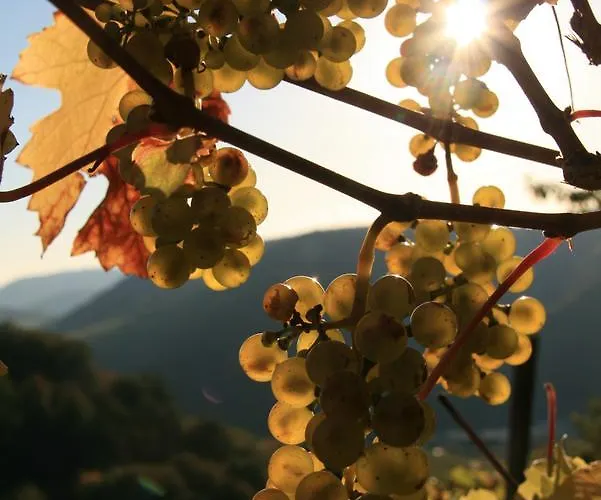 Familie Ernst 公寓 布鲁蒂凡科