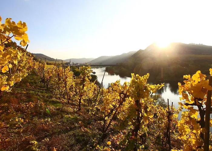 Familie Ernst * 布鲁蒂凡科